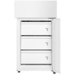 Toshiba 東芝 GR-RM352WI-PMA(53) 233L 變頻三門雪櫃